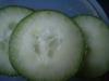 <img100*0:stuff/z/169023/Cucumber%252036/i1259705927_17.jpg>