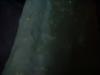 <img100*0:stuff/z/169023/Cucumber%252036/i1259705927_19.jpg>