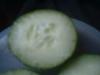 <img100*0:stuff/z/169023/Cucumber%252036/i1259705927_20.jpg>