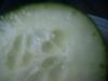 <img100*0:stuff/z/169023/Cucumber%252036/i1259705927_21.jpg>