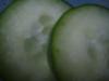 <img100*0:stuff/z/169023/Cucumber%252036/i1259705927_7.jpg>