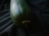 <img100*0:stuff/z/169023/Cucumber%252036/i1259705927_8.jpg>