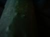 <img100*0:stuff/z/169023/Cucumber%252036/i1259705928_24.jpg>