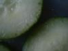 <img100*0:stuff/z/169023/Cucumber%252036/i1259705928_26.jpg>