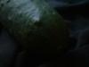 <img100*0:stuff/z/169023/Cucumber%252036/i1259705928_28.jpg>
