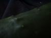 <img100*0:stuff/z/169023/Cucumber%252036/i1259705928_29.jpg>