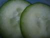 <img100*0:stuff/z/169023/Cucumber%252036/i1259705928_32.jpg>