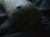 <img100*0:stuff/z/169023/Cucumber%252036/i1259705928_33.jpg>
