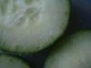 <img100*0:stuff/z/169023/Cucumber%252036/i1259705928_36.jpg>
