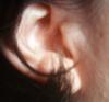 <img100*0:stuff/z/169023/Ear%2520Stock/i1265758490_1.jpg>