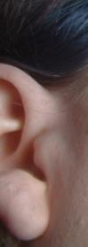 <img100*0:stuff/z/169023/Ear%2520Stock/i1265758490_3.jpg>