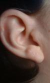 <img100*0:stuff/z/169023/Ear%2520Stock/i1265758490_6.jpg>