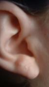 <img100*0:stuff/z/169023/Ear%2520Stock/i1265758490_7.jpg>