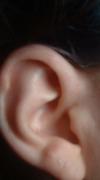 <img100*0:stuff/z/169023/Ear%2520Stock/i1265758490_8.jpg>