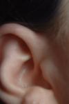 <img100*0:stuff/z/169023/Ear%2520Stock/i1265758490_9.jpg>