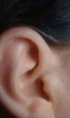 <img100*0:stuff/z/169023/Ear%2520Stock/i1265758491_10.jpg>