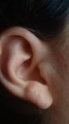 <img100*0:stuff/z/169023/Ear%2520Stock/i1265758491_11.jpg>