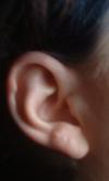 <img100*0:stuff/z/169023/Ear%2520Stock/i1265758491_13.jpg>