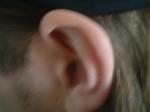 <img150*0:stuff/z/169023/Ears32/i1258664067_2.jpg>