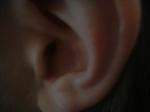 <img150*0:stuff/z/169023/Ears32/i1258664067_3.jpg>