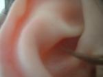 <img150*0:stuff/z/169023/Ears32/i1258664068_10.jpg>