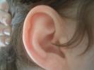 Ear Stock