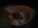 <img150*0:stuff/z/169023/Ears32/i1258664068_13.jpg>