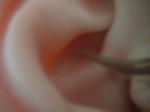<img150*0:stuff/z/169023/Ears32/i1258664068_15.jpg>