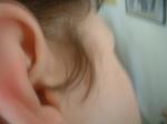 <img150*0:stuff/z/169023/Ears32/i1258664068_16.jpg>