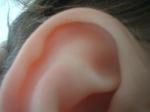 <img150*0:stuff/z/169023/Ears32/i1258664068_5.jpg>