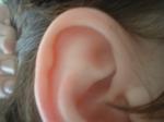 <img150*0:stuff/z/169023/Ears32/i1258664068_6.jpg>