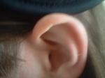 <img150*0:stuff/z/169023/Ears32/i1258664068_7.jpg>