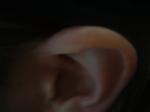 <img150*0:stuff/z/169023/Ears32/i1258664068_8.jpg>