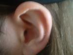 <img150*0:stuff/z/169023/Ears32/i1258664069_17.jpg>