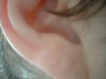 <img150*0:stuff/z/169023/Ears32/i1258664069_18.jpg>