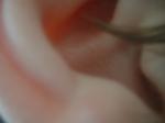 <img150*0:stuff/z/169023/Ears32/i1258664069_20.jpg>