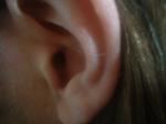 <img150*0:stuff/z/169023/Ears32/i1258664069_25.jpg>