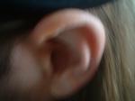 <img150*0:stuff/z/169023/Ears32/i1258664069_27.jpg>