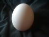 <img100*0:stuff/z/169023/Egg%252034/i1259705993_19.jpg>