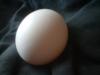 <img100*0:stuff/z/169023/Egg%252034/i1259705993_22.jpg>