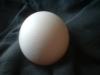 <img100*0:stuff/z/169023/Egg%252034/i1259705994_27.jpg>