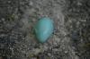 <img100*0:stuff/z/169023/Egg%2520Stock/i1277151480_4.jpg>