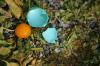 <img100*0:stuff/z/169023/Egg%2520Stock/i1277151480_5.jpg>