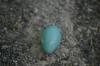 <img100*0:stuff/z/169023/Egg%2520Stock/i1277151480_8.jpg>