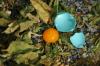 <img100*0:stuff/z/169023/Egg%2520Stock/i1277151480_9.jpg>