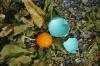 <img100*0:stuff/z/169023/Egg%2520Stock/i1277151481_16.jpg>