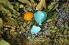 <img100*0:stuff/z/169023/Egg%2520Stock/i1277151481_17.jpg>