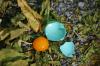 <img100*0:stuff/z/169023/Egg%2520Stock/i1277151481_19.jpg>