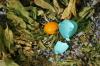 <img100*0:stuff/z/169023/Egg%2520Stock/i1277151481_20.jpg>
