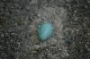 <img100*0:stuff/z/169023/Egg%2520Stock/i1277151481_21.jpg>
